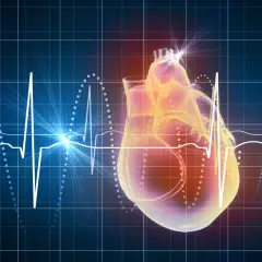 Serce na tle wykresu EKG i siatki. Podwyższona homocysteina może wpływać na zdrowie serca.