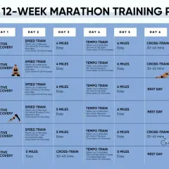 Plan biegowy na 12 tygodni do maratonu. Tabela zawiera tygodniowy rozkład treningów, w tym biegi interwałowe, tempo i regenerację.
