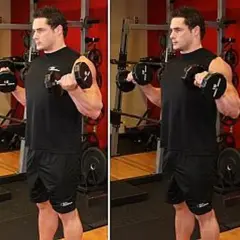 Mężczyzna ćwiczy, podnosząc hantle. Widać jego duży biceps, który napina się podczas ćwiczeń.