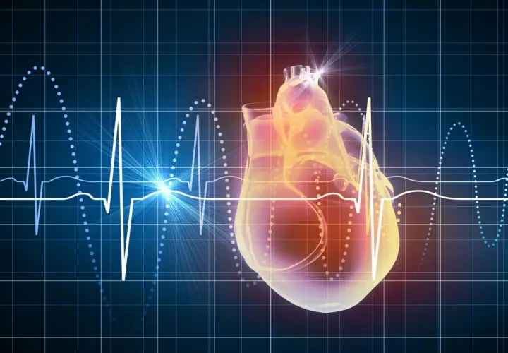 Serce na tle wykresu EKG i siatki. Podwyższona homocysteina może wpływać na zdrowie serca.