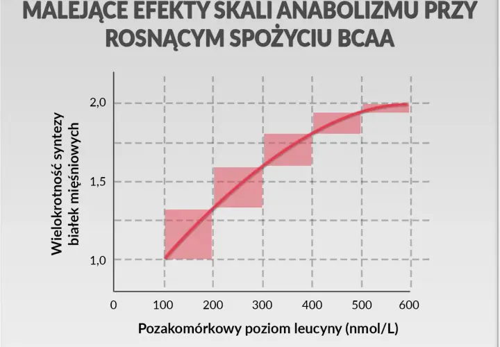 Wykres pokazuje, jak rosnący poziom leucyny, jednego z aminokwasów biogennych, wpływa na syntezę białek mięśniowych, ukazując malejące efekty anaboliczne.