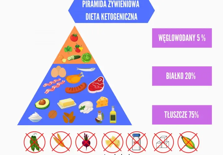 Piramida żywieniowa dla diety ketogenicznej: 75% tłuszcze, 20% białko, 5% węglowodany. Zakazane: fasolka, zboża, buraki, makaron, cukier, kukurydza.