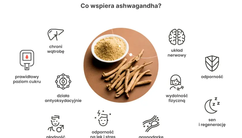 Ashwagandha: warto dla zdrowia! Wspiera układ nerwowy, odporność, sen, płodność, wątrobę, poziom cukru, wydolność fizyczną i gospodarkę lipidową.