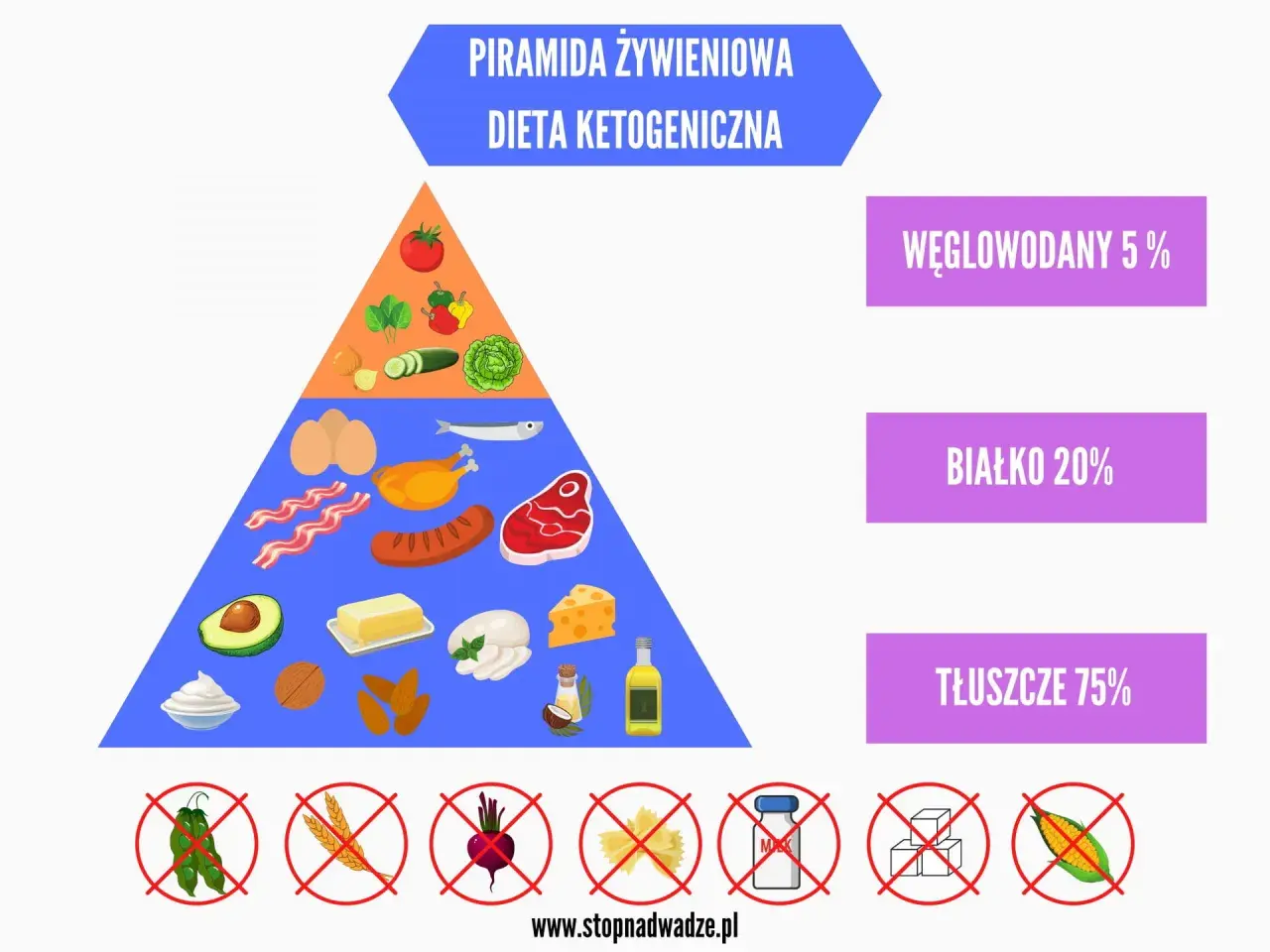 Piramida żywieniowa dla diety ketogenicznej: 75% tłuszcze, 20% białko, 5% węglowodany. Zakazane: fasolka, zboża, buraki, makaron, cukier, kukurydza.